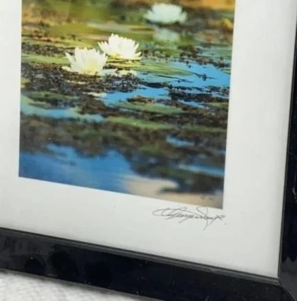 SIGNED Set of Two Framed Nature Photographs 10" X 12" - Dragonfly & Lilypads - Picture 3 of 4